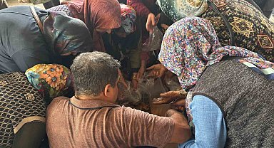 Pazarda mantar izdihamı