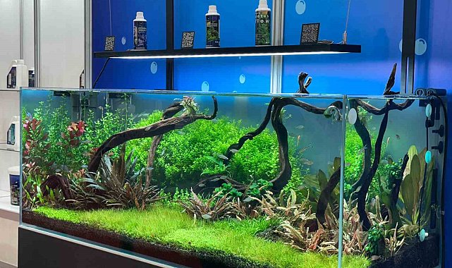 Pet sektörü ithalatını azaltmayı hedefliyor