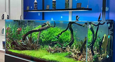 Pet sektörü ithalatını azaltmayı hedefliyor