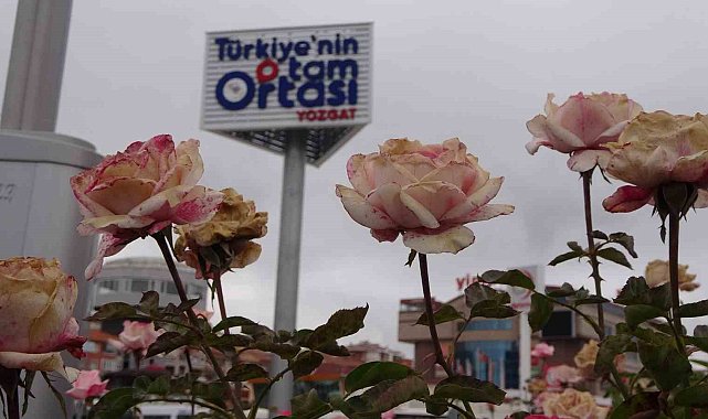 "Türkiye'nin tam ortası Yozgat" totemleri dikkat çekiyor