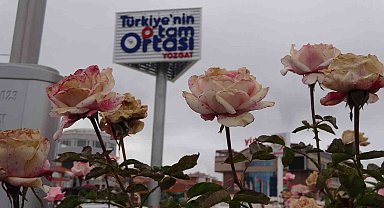 "Türkiye'nin tam ortası Yozgat" totemleri dikkat çekiyor