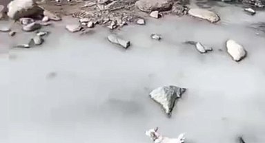 Rize'de dereyi kirleten firmaya 464 bin 585 TL para cezası kesildi