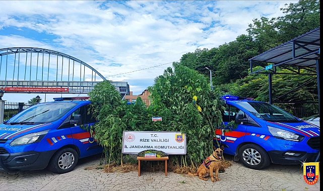 Rize'de jandarmanın 4 aylık uyuşturucu bilançosu: 210 gözaltı
