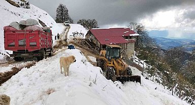 Rize'de yaylada küçükbaş ve büyükbaş hayvanları ile mahsur kalan 6 kişi kurtarıldı