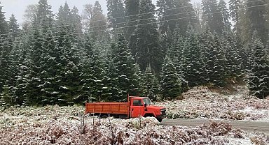Sakarya'nın yüksek kesimleri kısmen beyaza büründü