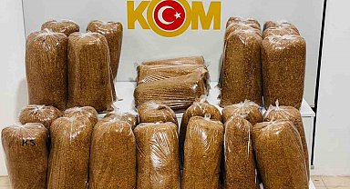 Samsun'da 180 kilo kaçak tütün ele geçirildi