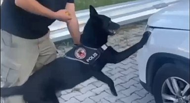 Samsun'da narkotik dedektör köpeği 1 kilo metamfetamini buldu