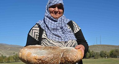 Sarıkamış'ta üretilen peynir işkembeye dolduruluyor