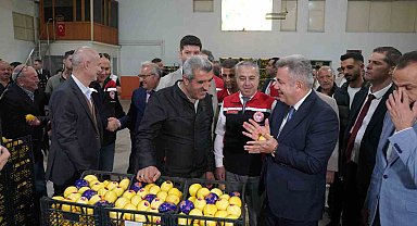 Satsuma mandalinası Balkanlar ve Avrupa yolunda