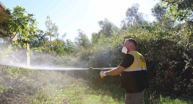 SBB'den kahverengi kokarcayla mücadeleye destek
