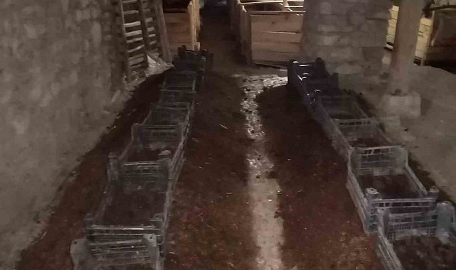 Şehir hayatından sıkıldı Çemişgezek'e yerleşip milyonlarca solucanla organik gübre üretmeye başladı