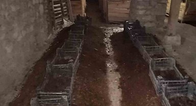 Şehir hayatından sıkıldı Çemişgezek'e yerleşip milyonlarca solucanla organik gübre üretmeye başladı