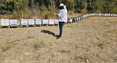 Seydikemer'de arılı kovan tespit çalışmaları devam ediyor