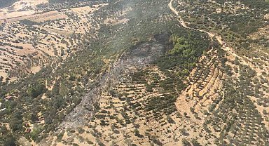 Seydikemer'de çıkan orman yangını kontrol altına alındı