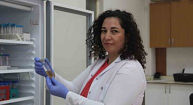 Şifa kaynağı Çördük, azı yarar, fazlası zarar