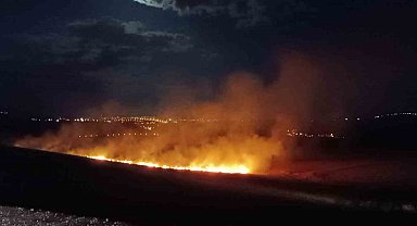 Siirt'te anız yangını