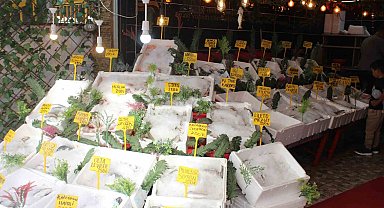 Siirt'te balık çeşitleri tezgahta yerini aldı