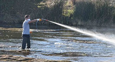 Simillium ile mücadelede yüzde 95 başarı yakaladı