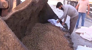 Sınır kapısında 79 ton bozuk ceviz içi ele geçirildi