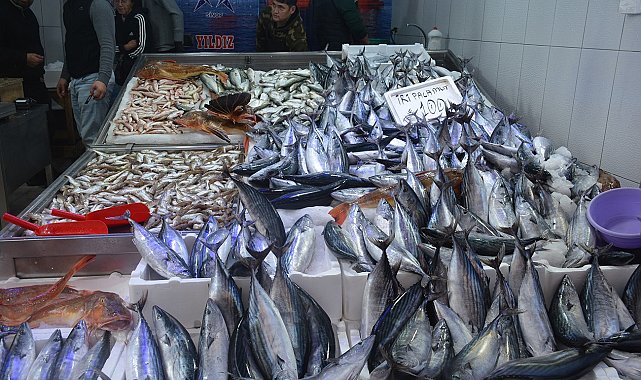 Sinop'ta balıkçı tezgahları şenlendi: 1,3 kiloluk palamutlar 100 lira