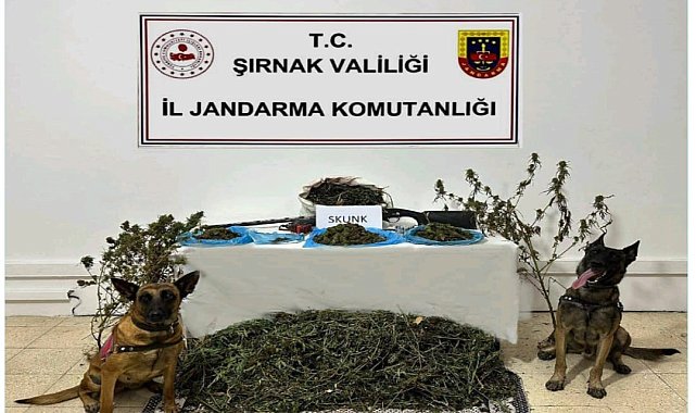 Şırnak'ta Jandarma ekiplerinden kaçakçılık operasyonu: 2 tutuklama