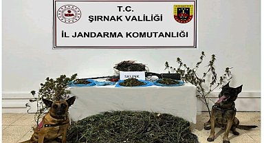 Şırnak'ta Jandarma ekiplerinden kaçakçılık operasyonu: 2 tutuklama