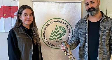 Şırnak'ta yaralı halde bulunan atmaca tedavi altına alındı