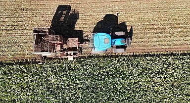 Sivas'ta hububat sezonu rekorla kapandı