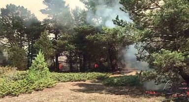 Sivas'ta örtü yangınına müdahale sürüyor