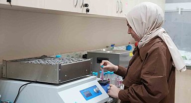 Siyez buğdayının kalın bağırsak mikrobiyotası üzerindeki etkileri araştırılıyor