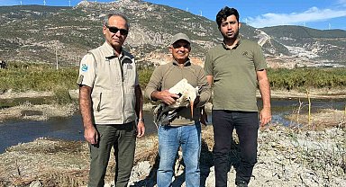 Sofya'dan Kuşadas'ına gelen yaralı leylek doğaya salındı