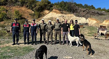 Sokak hayvanlarına destek