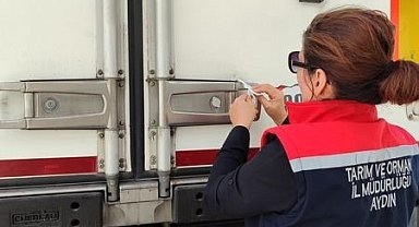 Söke'de 3 tır işlenmiş balığa ihraç edilmek üzere ön sağlık sertifikası düzenlendi