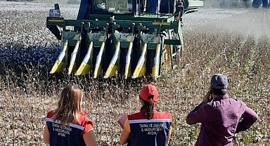 Söke'de pamuk hasat makineleri kontrol ediliyor