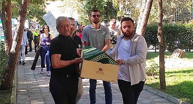 Tabut küçük acı büyük