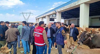 Tarım ekibi çiftçileri canlı hayvan pazarında bilgilendirdi