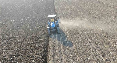 Tarlada çalışacak işçi bulamayınca 3 bin 500 kilometre yol kat edip babasına yardıma geliyor