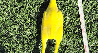 Tavuğu 35 metre fırlatıp Guinness rekoru kırdı