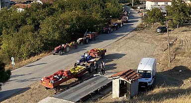 Taze ceviz toptan 25 liraya satılıyor