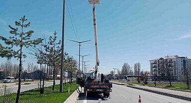 TEDAŞ, aydınlatma denetimi yapacak