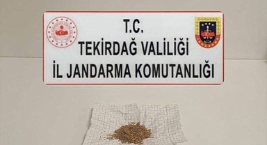 Tekirdağ'da uyuşturucu operasyonları: 3 kişi yakalandı