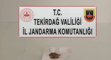 Tekirdağ'da uyuşturucu ve kaçakçılık operasyonları: Sentetik hap ve silah ele geçirildi