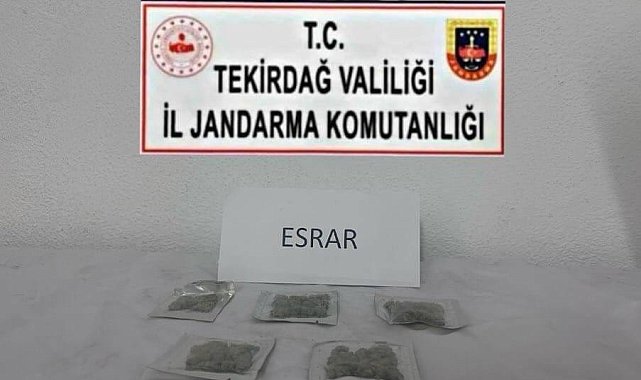 Tekirdağ'da uyuşturucu ve silah operasyonları: Çok sayıda suç unsuru ele geçirildi