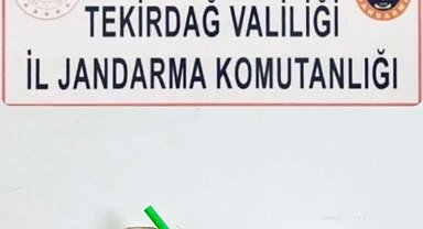 Tekirdağ'da uyuşturucu ve silah operasyonları