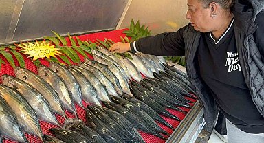 Tekneler denize seyrek çıktı, palamut azaldı