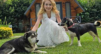 Terapi eğitimi verilen sokak köpekleri, hastalara ümit oluyor