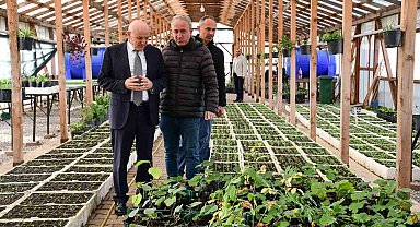 Terme'de mevsimlik çiçekler toprakla buluşmaya hazırlanıyor