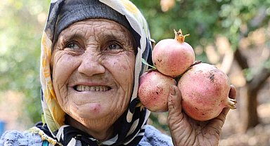 Tescilli Kuytucak narı bahçede 20 lira