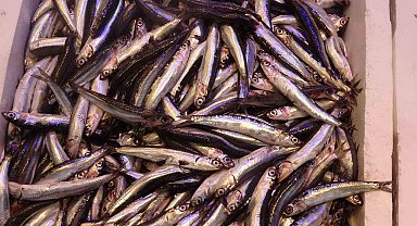 Tezgahlarda fazla gözükmüyor ama ihracat pazarlarında boy gösteriyor