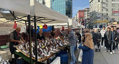 Tezgahların en pahalı balığı mezgit oldu